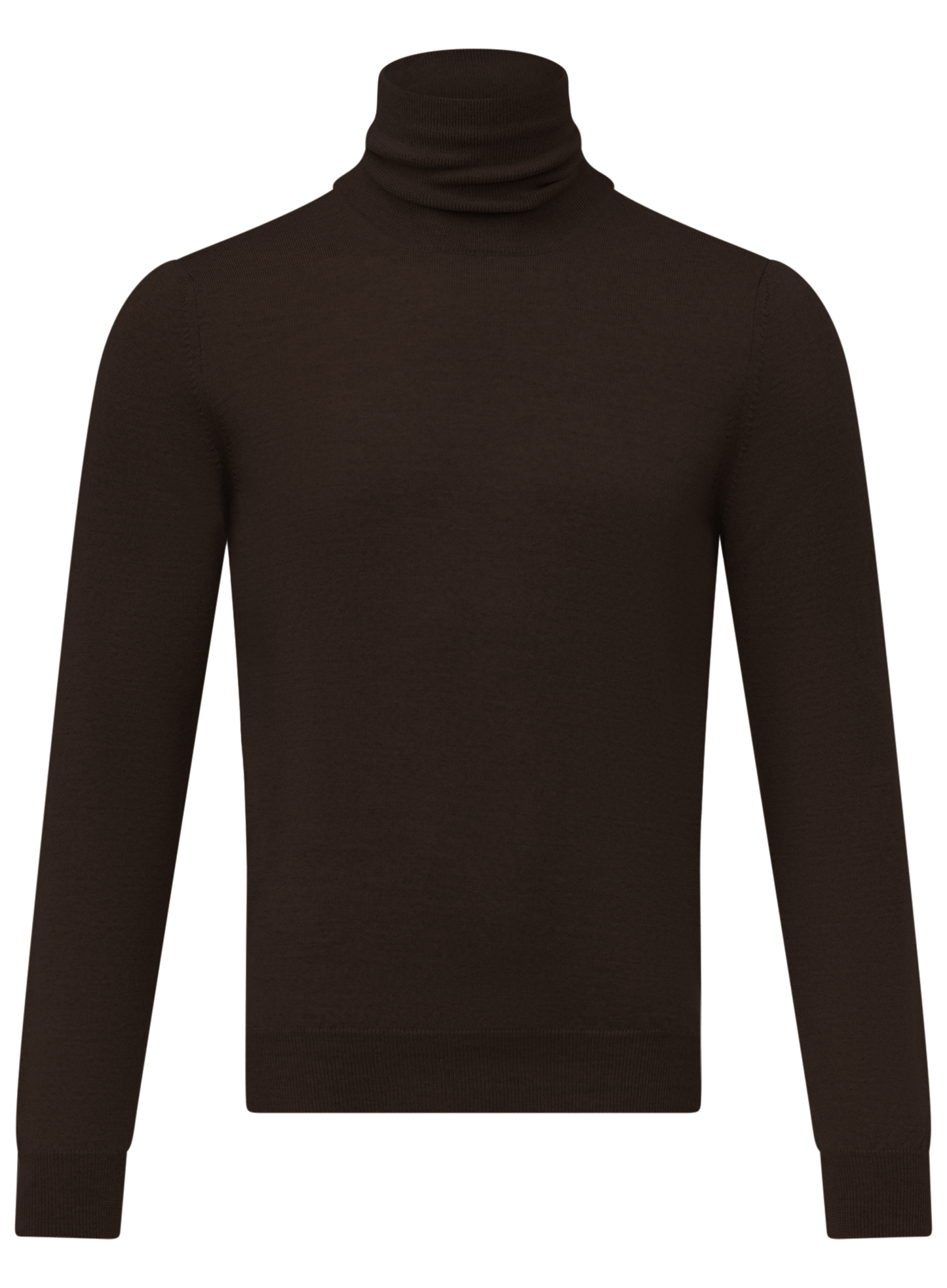 Schmal geschnittener Rollkragenpullover aus Wolle