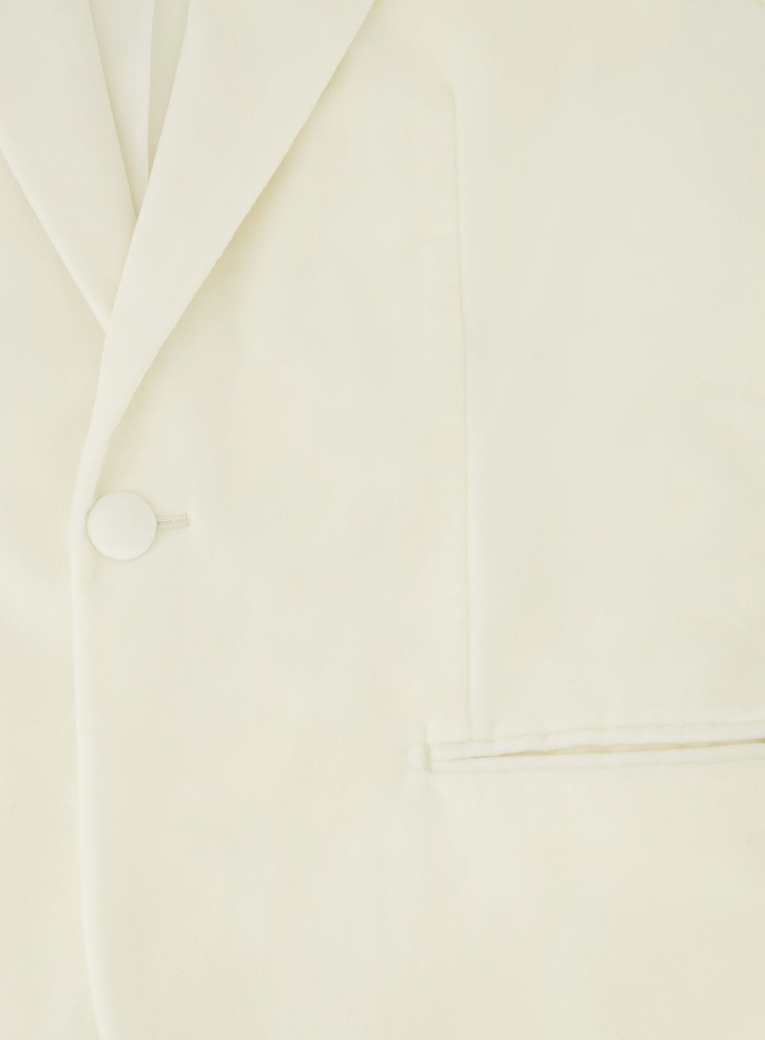 Slim-fit jasje van velours | FULL_WIDTH | Wit
