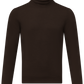 Schmal geschnittener Rollkragenpullover aus Wolle