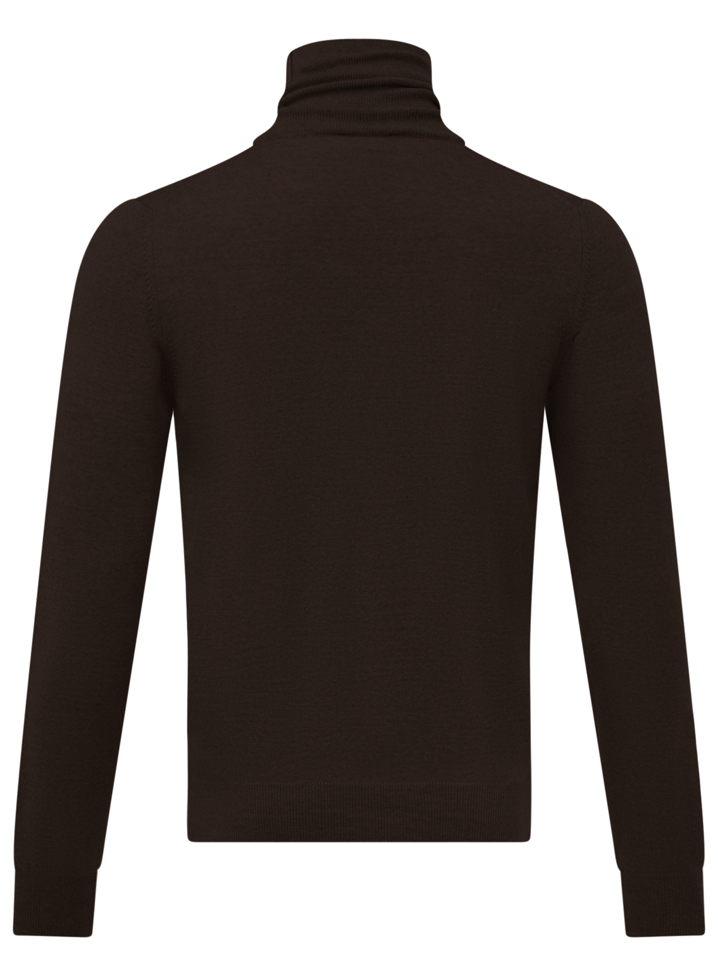 Schmal geschnittener Rollkragenpullover aus Wolle