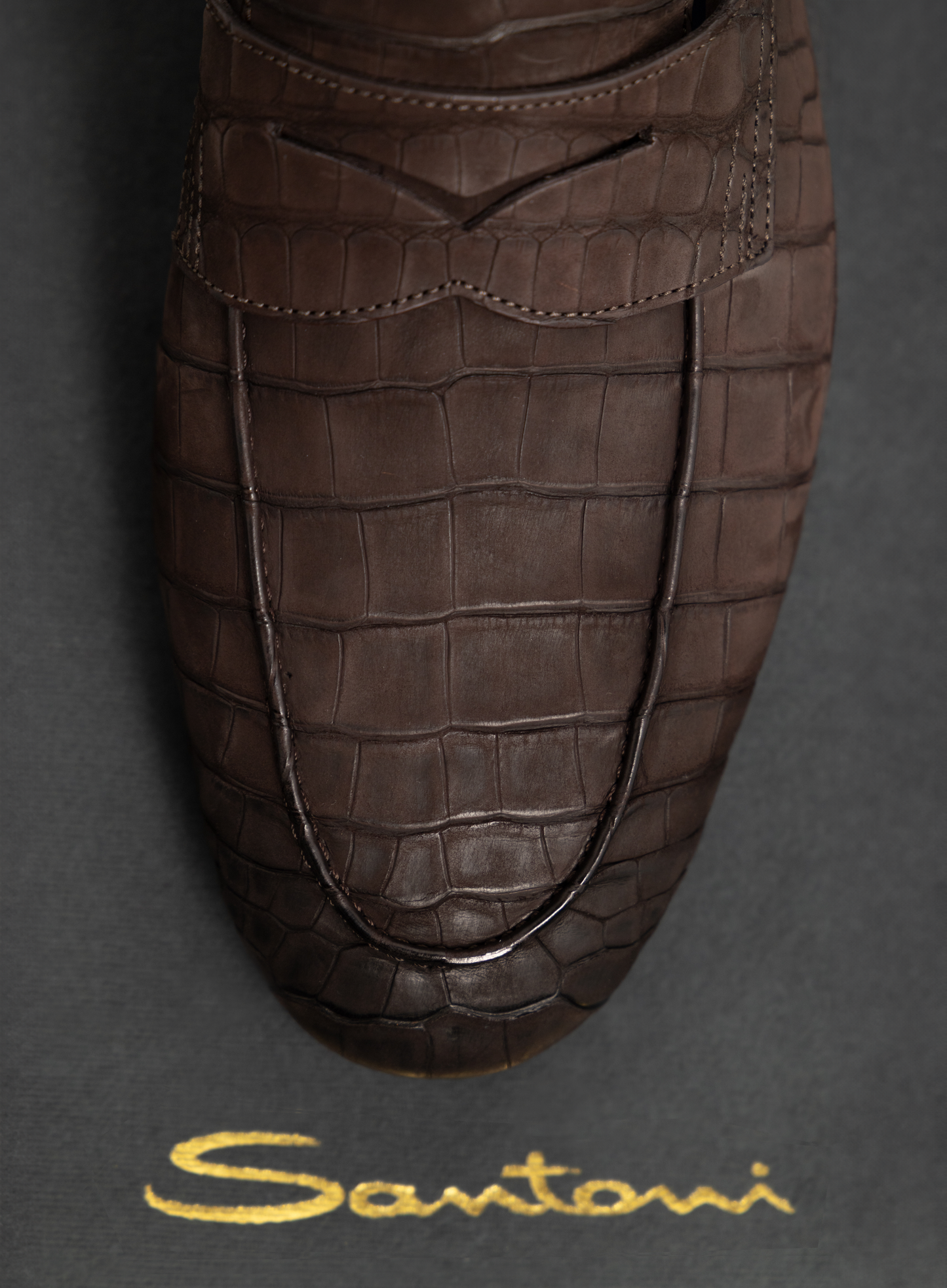 Penny loafers van krokodillenleer | FULL_WIDTH | D.Bruin