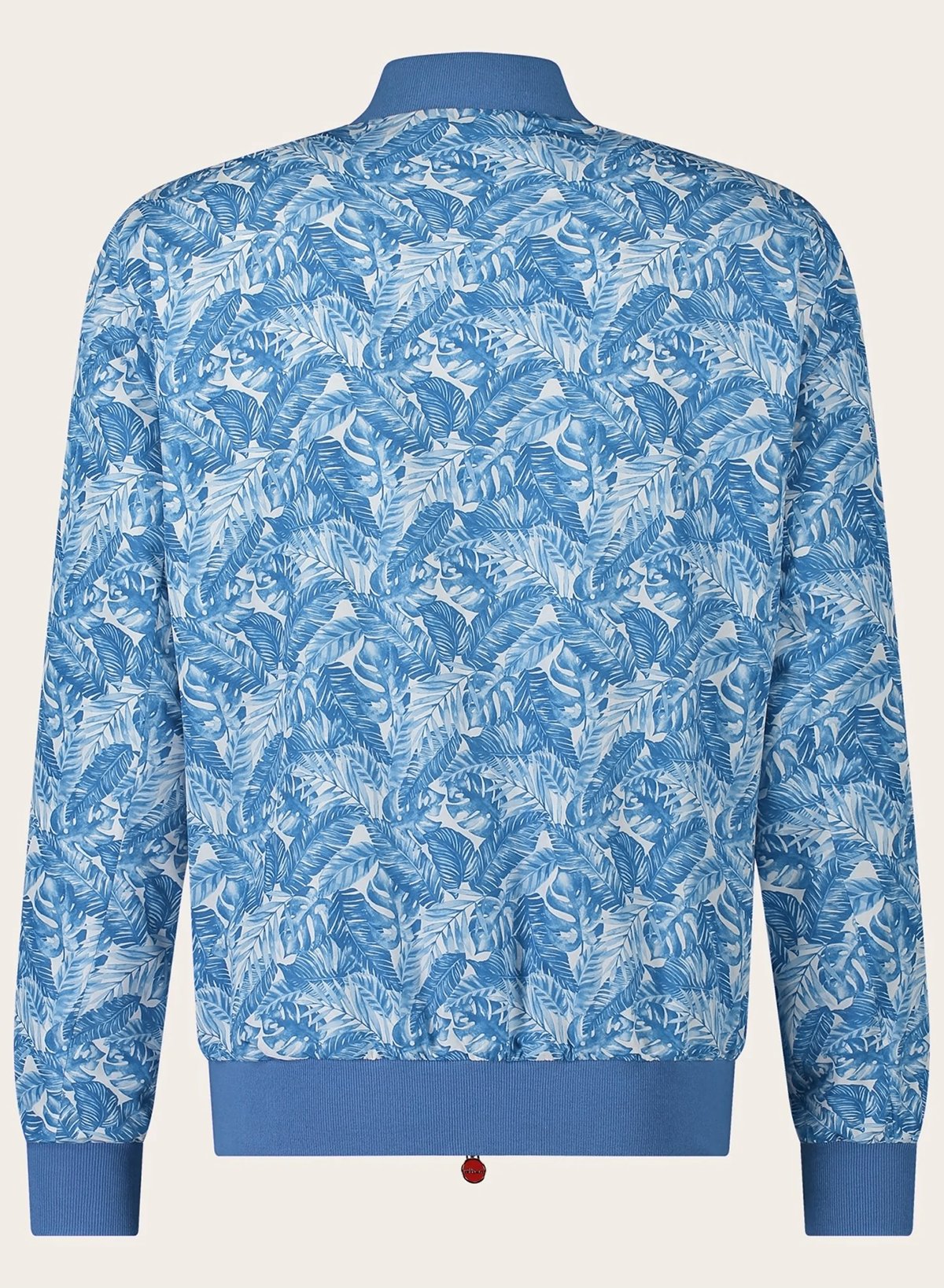 Windbestendige bomberjack met print | Blauw