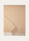 Cashmere shawl | BG_TRANSPARENT | Beige
