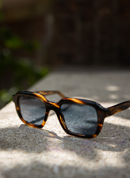 Raffaello zonnebril | FULL_WIDTH | Bruin
