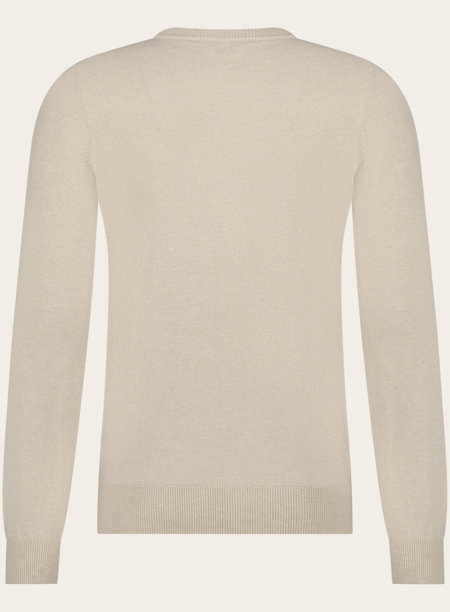 Crewneck van cashmere | Beige