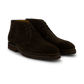 Desert welt veterschoen | D.Bruin