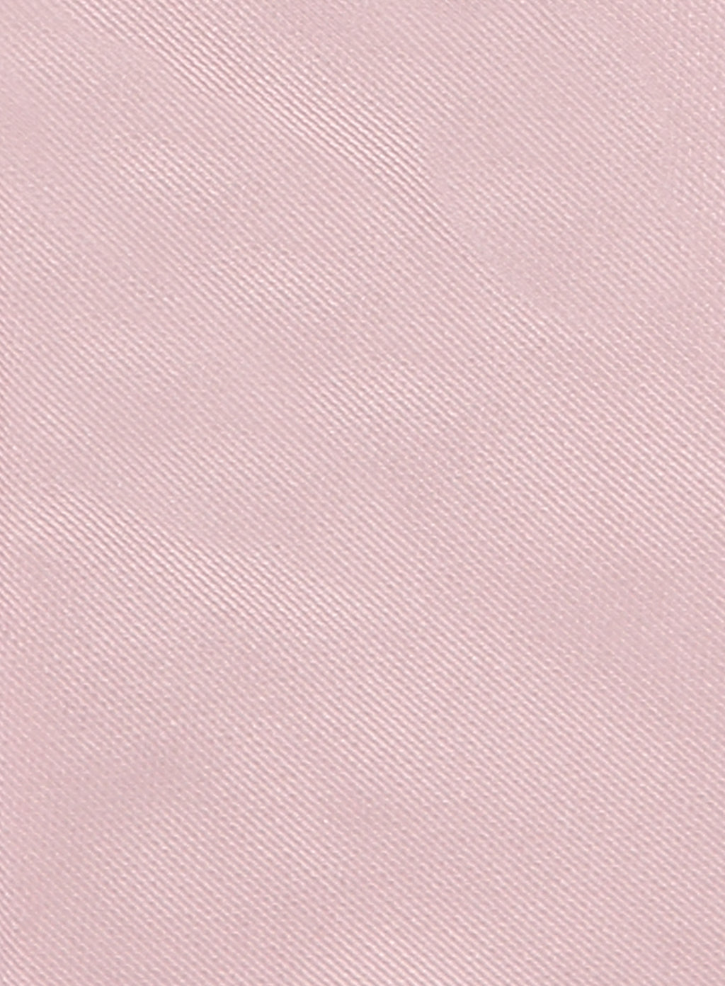 Zijden das | FULL_WIDTH | ROZE